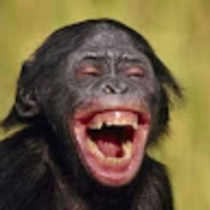 Meet your Posher, Elvira jose